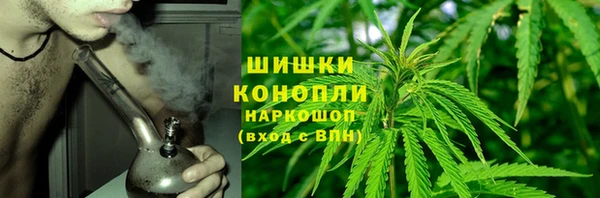 таблы Богородицк