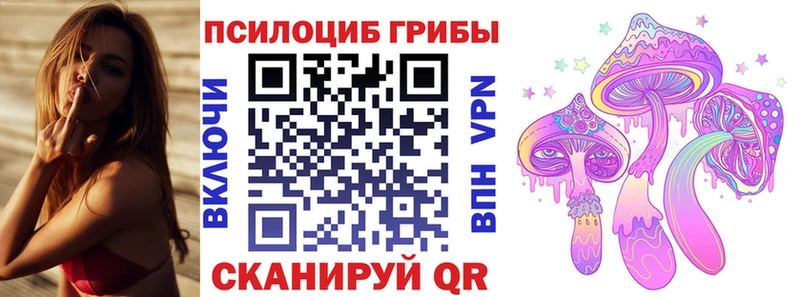 Псилоцибиновые грибы GOLDEN TEACHER Власиха